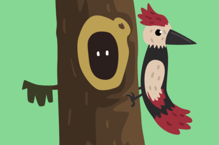 woodpecker EIFS