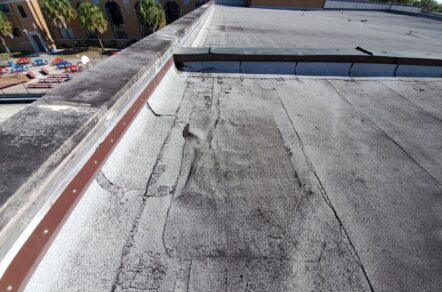 Roof Blistering
