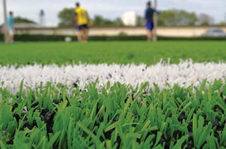 News Exploring the Options Alternative Infills for Synthetic Turf Fields